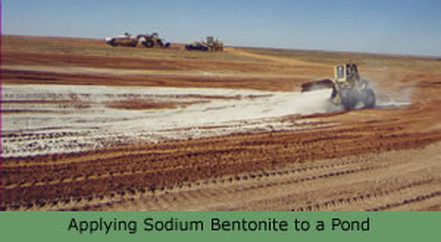 sodium bentonite